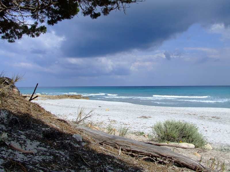 Sardegna