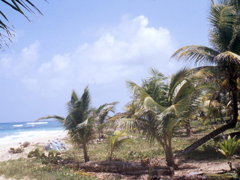 Jamaica